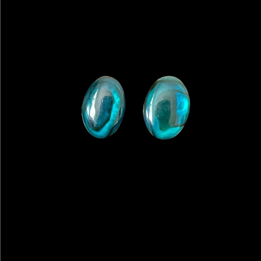 Elegant Blue Abalone Stud Earrings